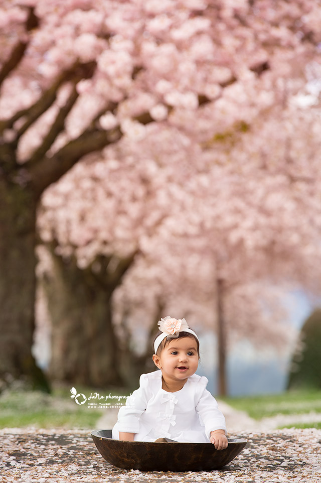 vancouver_baby-photography_blossom_baby