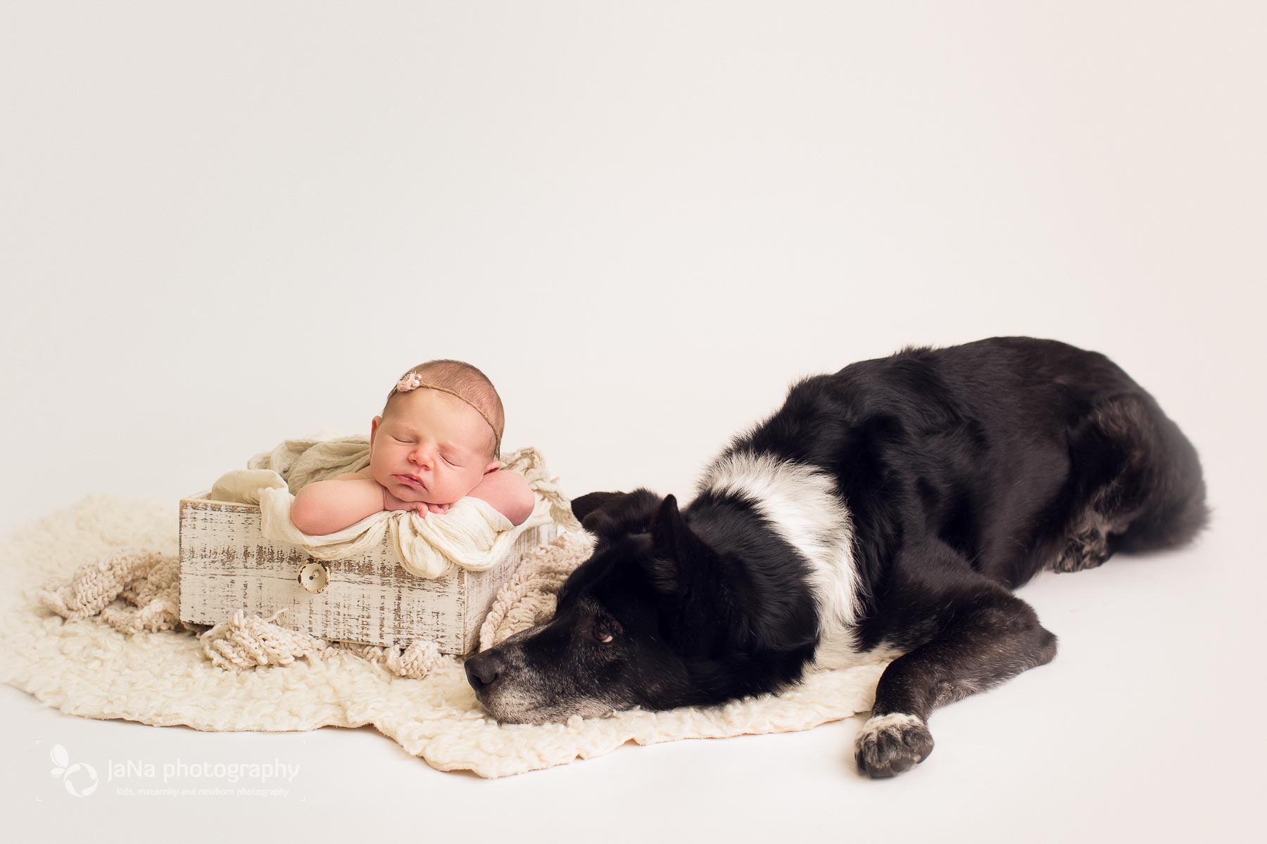 Vancouver newborn photography Magnolia and dog