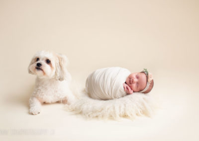 newborn photography - baby-girl with dog