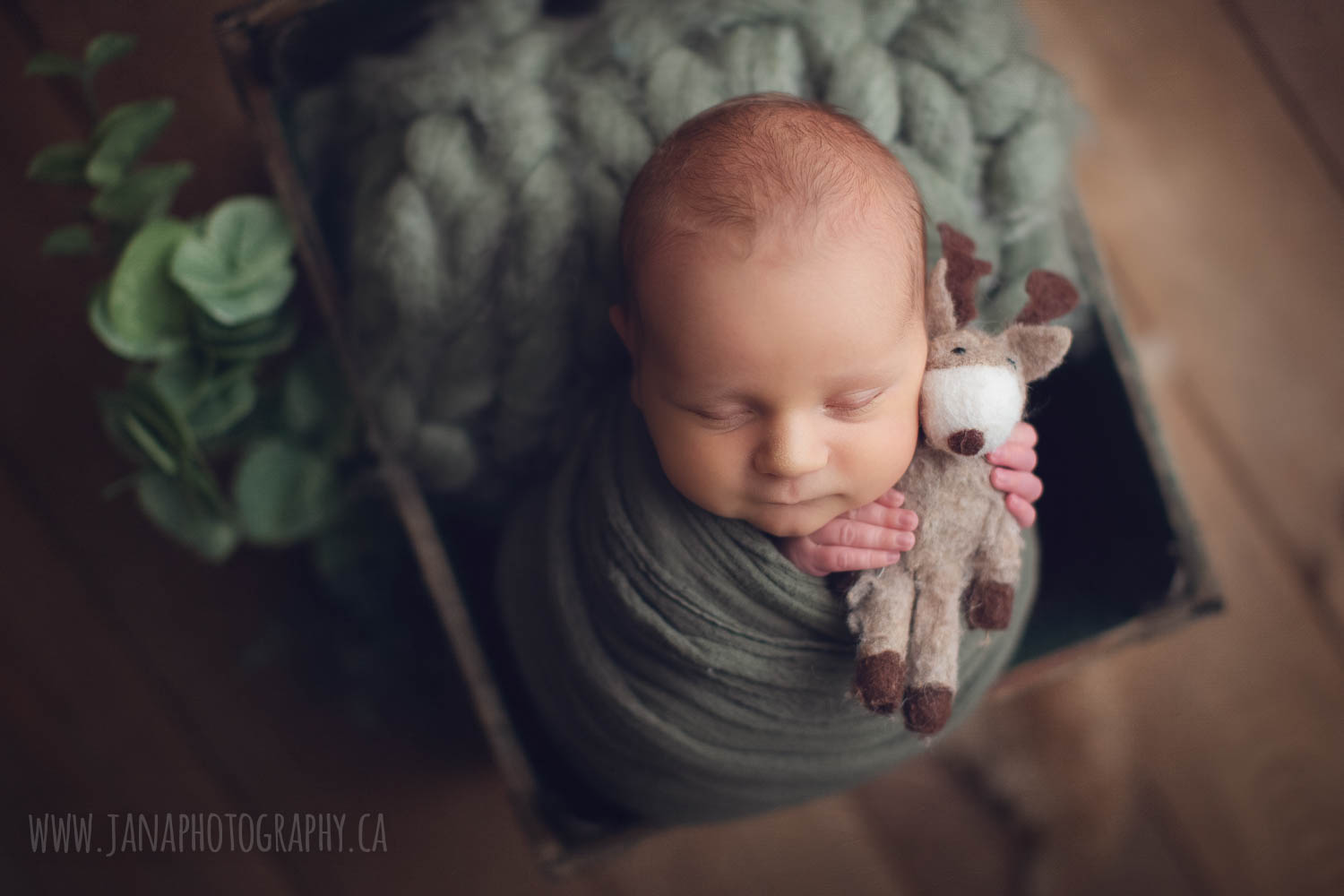 family photography vancouver - newborn baby boy holding dear - green - brown setup