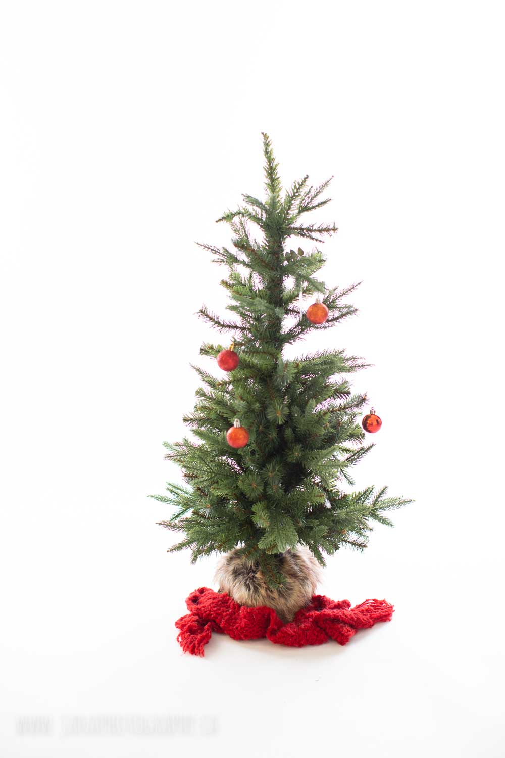holiday mini session - christmas tree